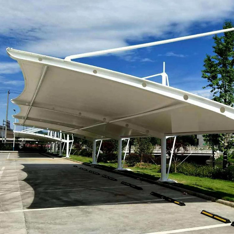 轮台县膜结构汽车棚